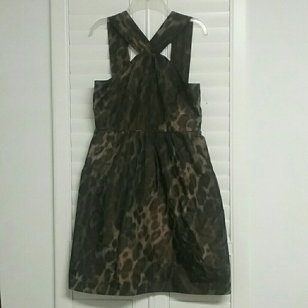 Banana Republic Cheetah Print Dress